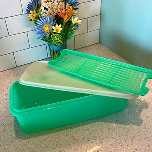 Vintage Tupperware 3Pc Jadeite Green Celery/Vegetable/Bread Container With Lid